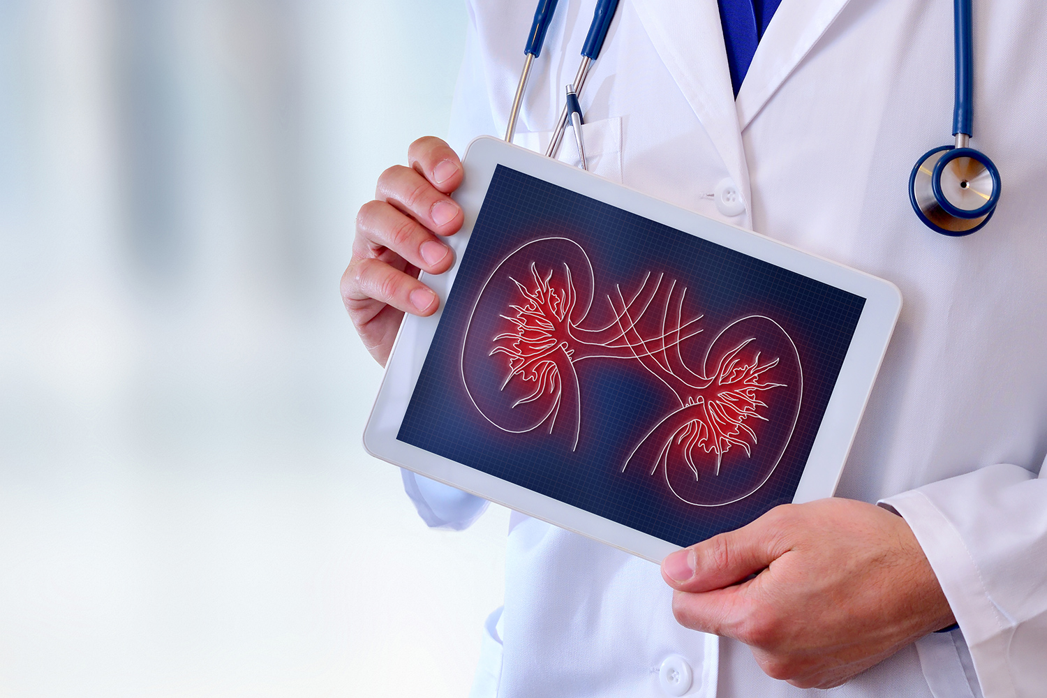 CKD Terms Every Patient Should Know